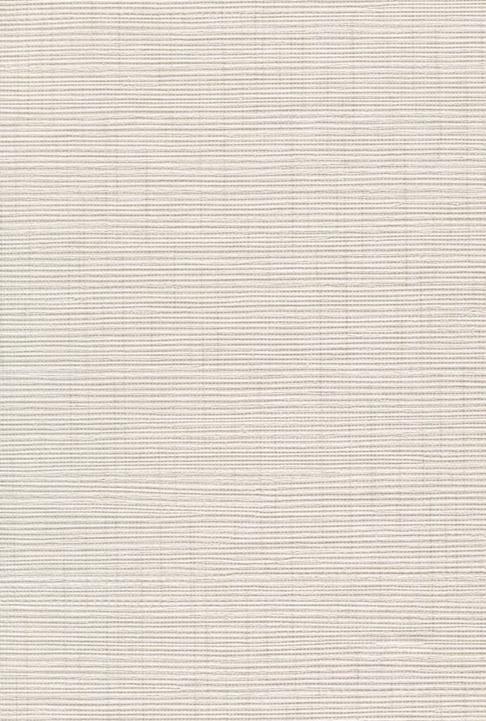 Bege Palha Com Textura de Tecido